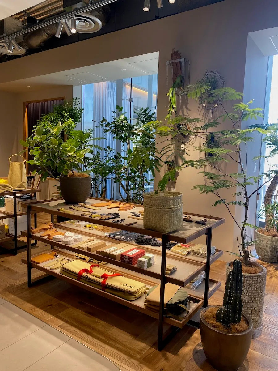 2026年5月〜7月 大人の遠足3回コース