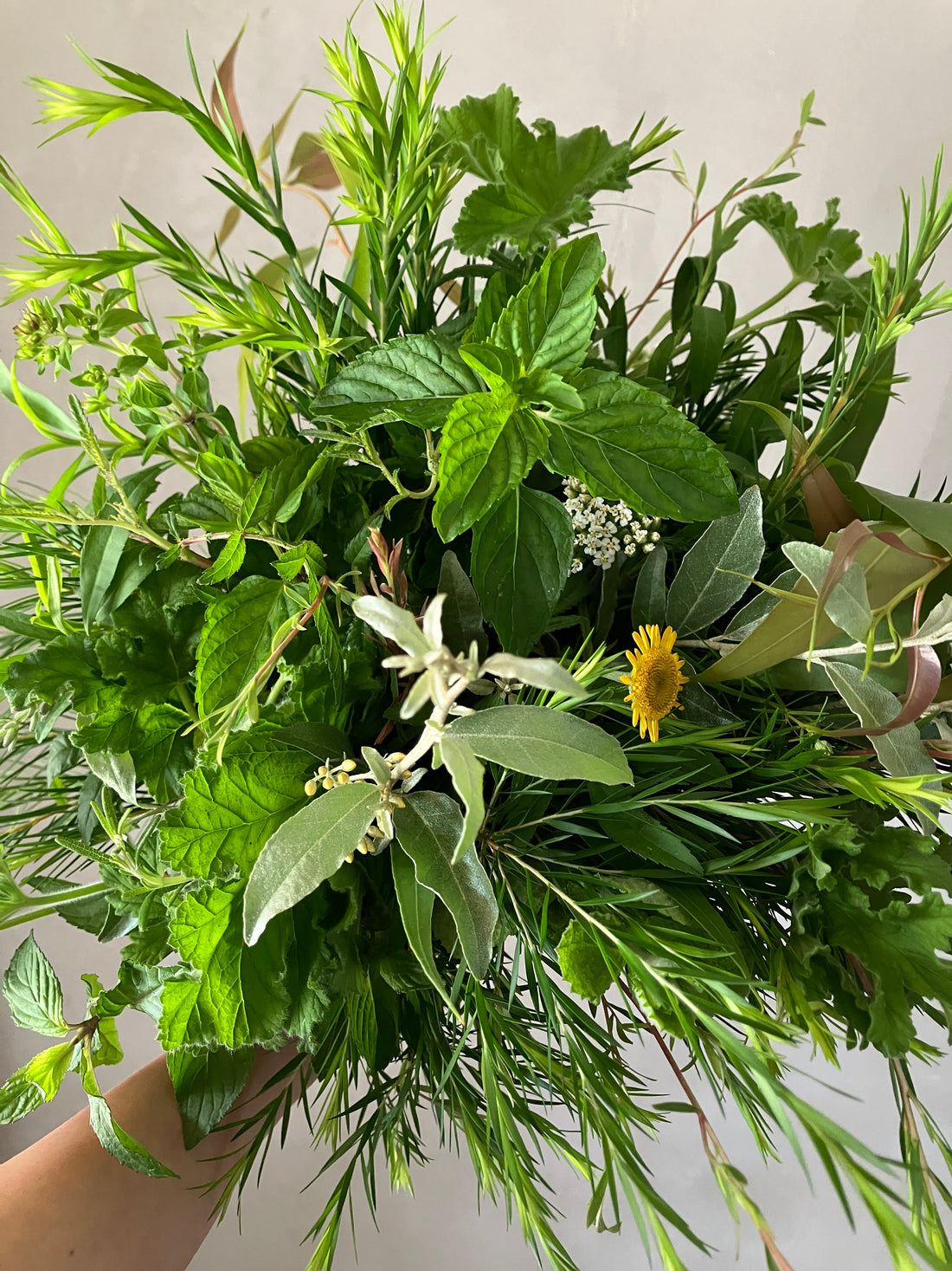 2025.7.29 部屋ごとに香りをそえるハーブ使いのレッスン