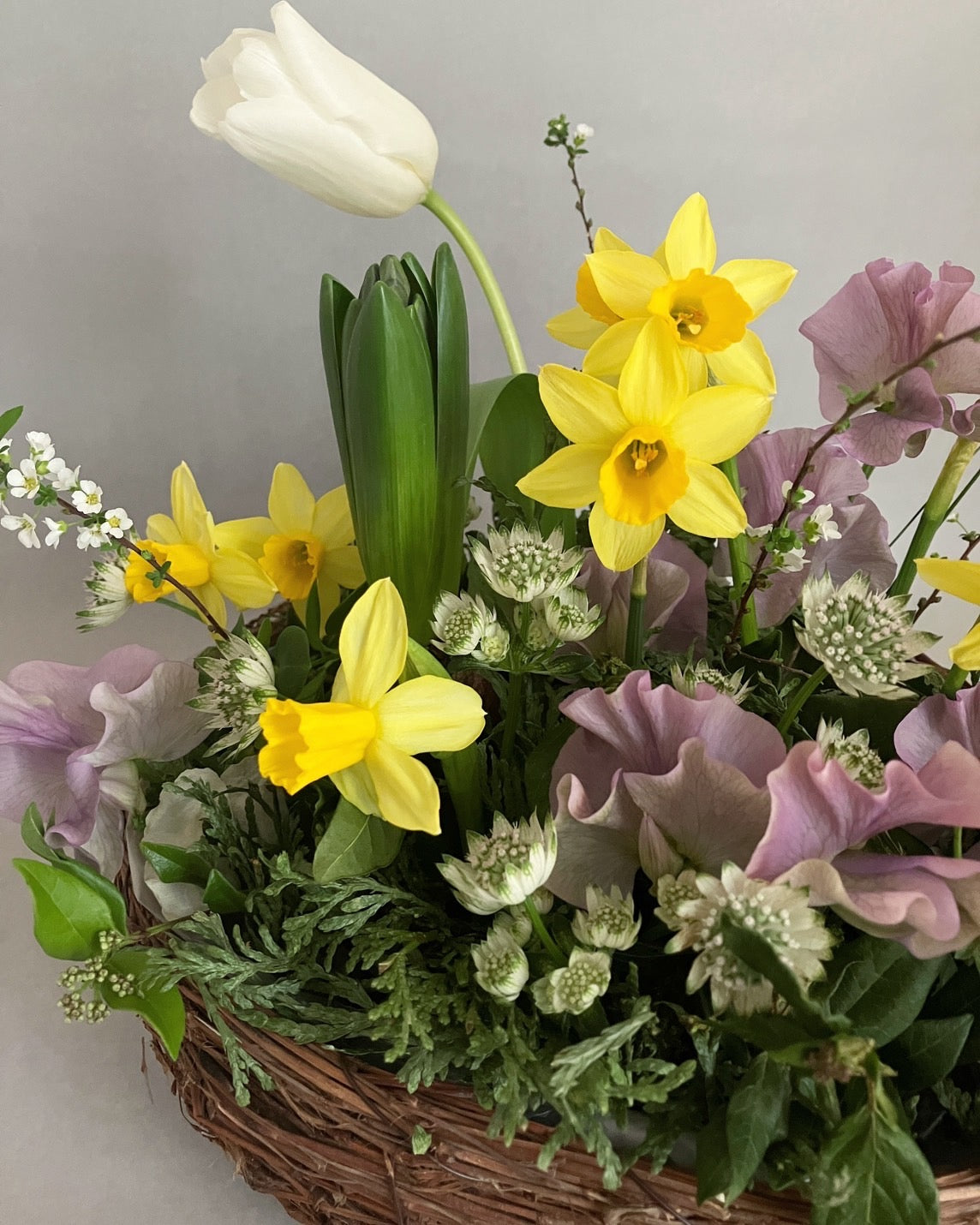 2025.2.7 春の球根アレンジ