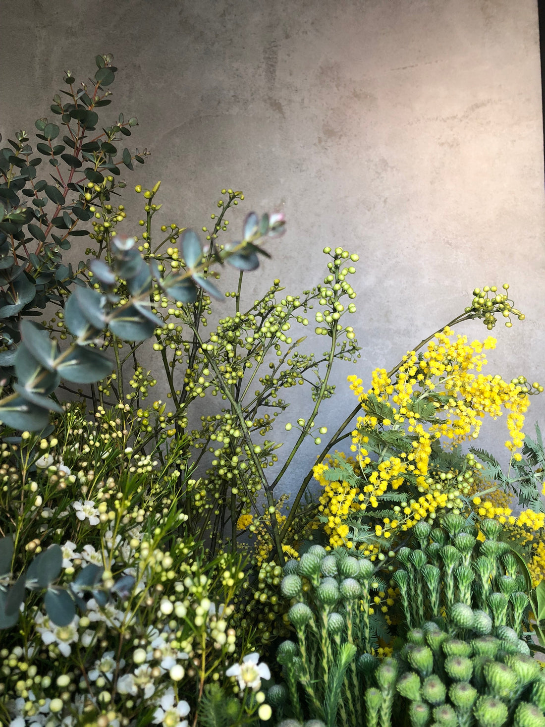 2025.2.21 ミモザの生けこみ