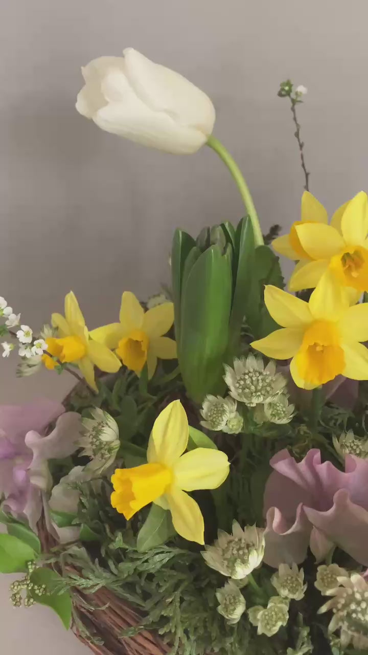 2025.2.7 春の球根アレンジ