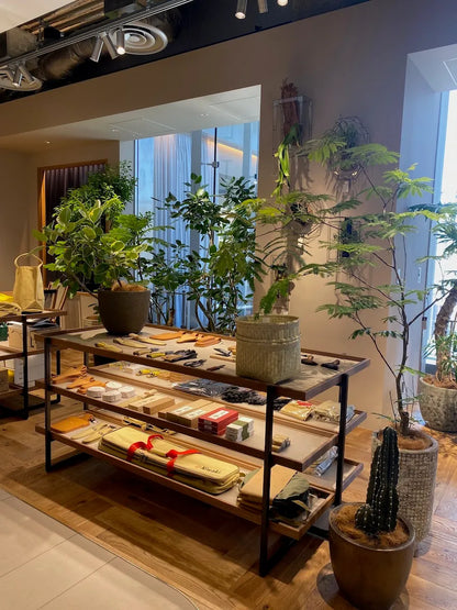 2026年5月〜7月　大人の遠足3回コース